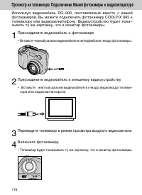 Страница 176