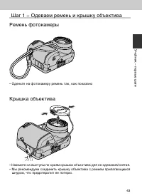 Страница 43