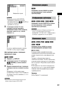 Страница 43