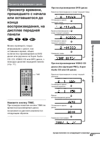 Страница 43