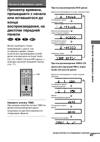 Страница 43