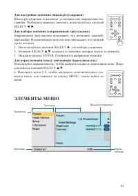 Страница 43