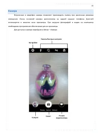Страница 65