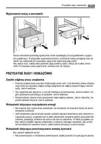 Strona 17