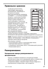 Страница 29
