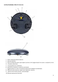 Страница 34