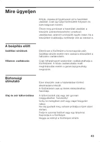 Страница 43