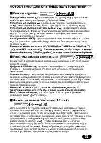 Страница 31