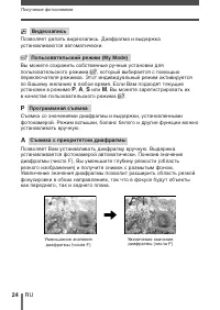 Страница 24