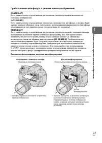Страница 37