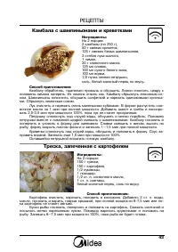 Страница 43