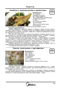 Страница 43