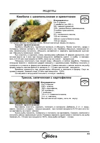 Страница 43
