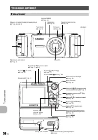 Страница 56
