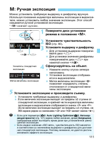 Страница 111