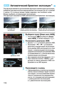 Страница 116