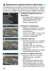 Страница 234