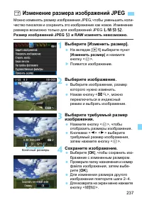 Страница 237