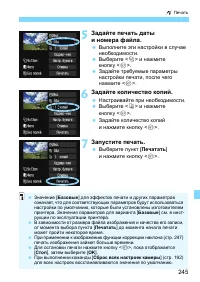 Страница 245