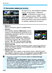 Страница 246
