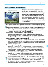 Страница 247