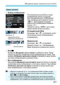 Страница 251