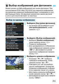 Страница 253