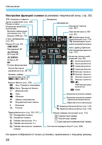 Страница 28