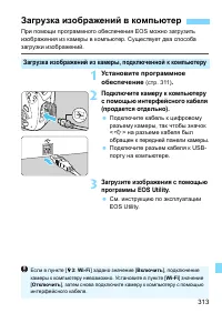 Страница 313