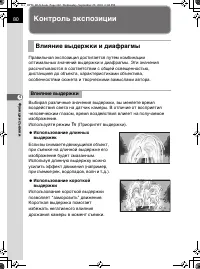 Страница 82