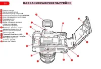 Страница 102