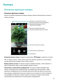 Страница 41