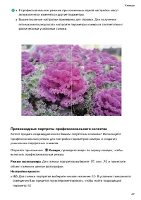 Страница 51