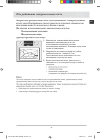 Страница 31