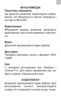 Страница 43