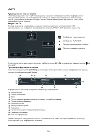Страница 31
