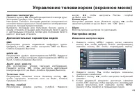 Страница 31