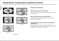Страница 44