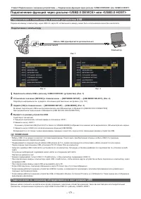 Страница 171