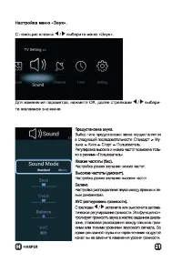 Страница 21