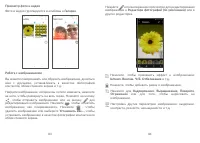Страница 43