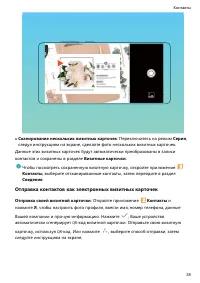 Страница 43