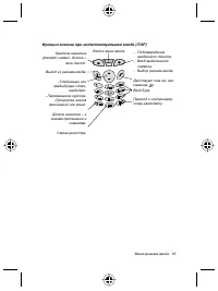 Страница 39