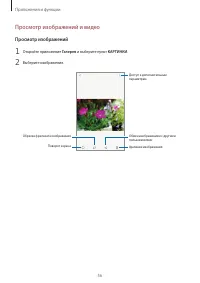 Страница 56