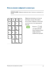 Страница 41
