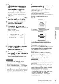 Страница 111