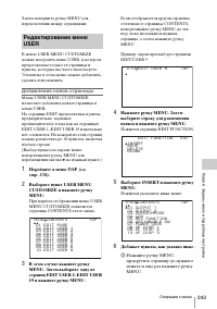 Страница 243