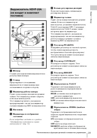 Страница 31