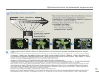 Страница 65