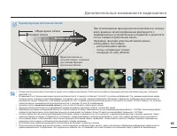 Страница 65